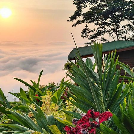 Minca Sintropia - Sustainable Lodge & Organic Coffee Finca 외부 사진