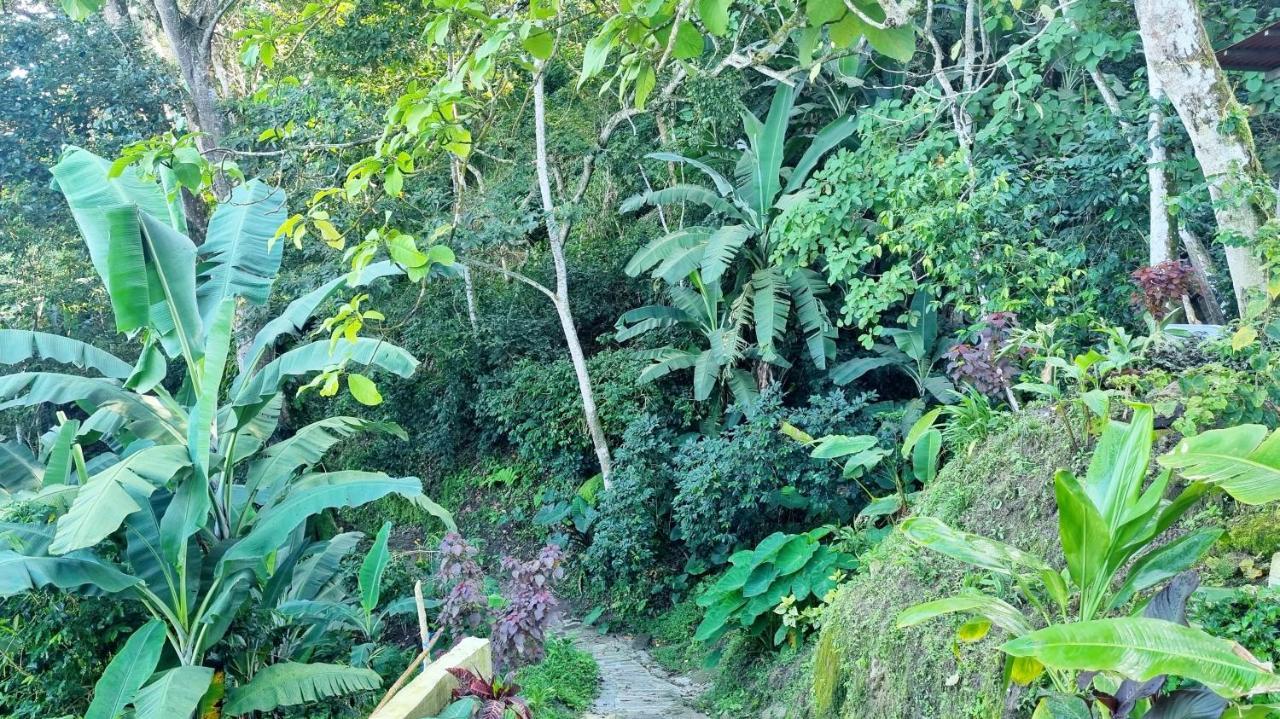 Minca Sintropia - Sustainable Lodge & Organic Coffee Finca 외부 사진