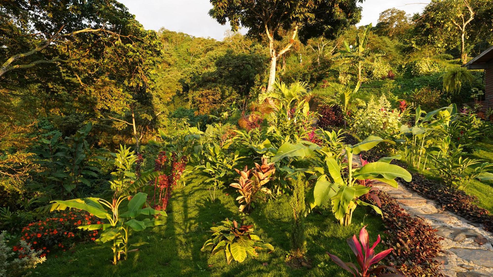 Minca Sintropia - Sustainable Lodge & Organic Coffee Finca 외부 사진