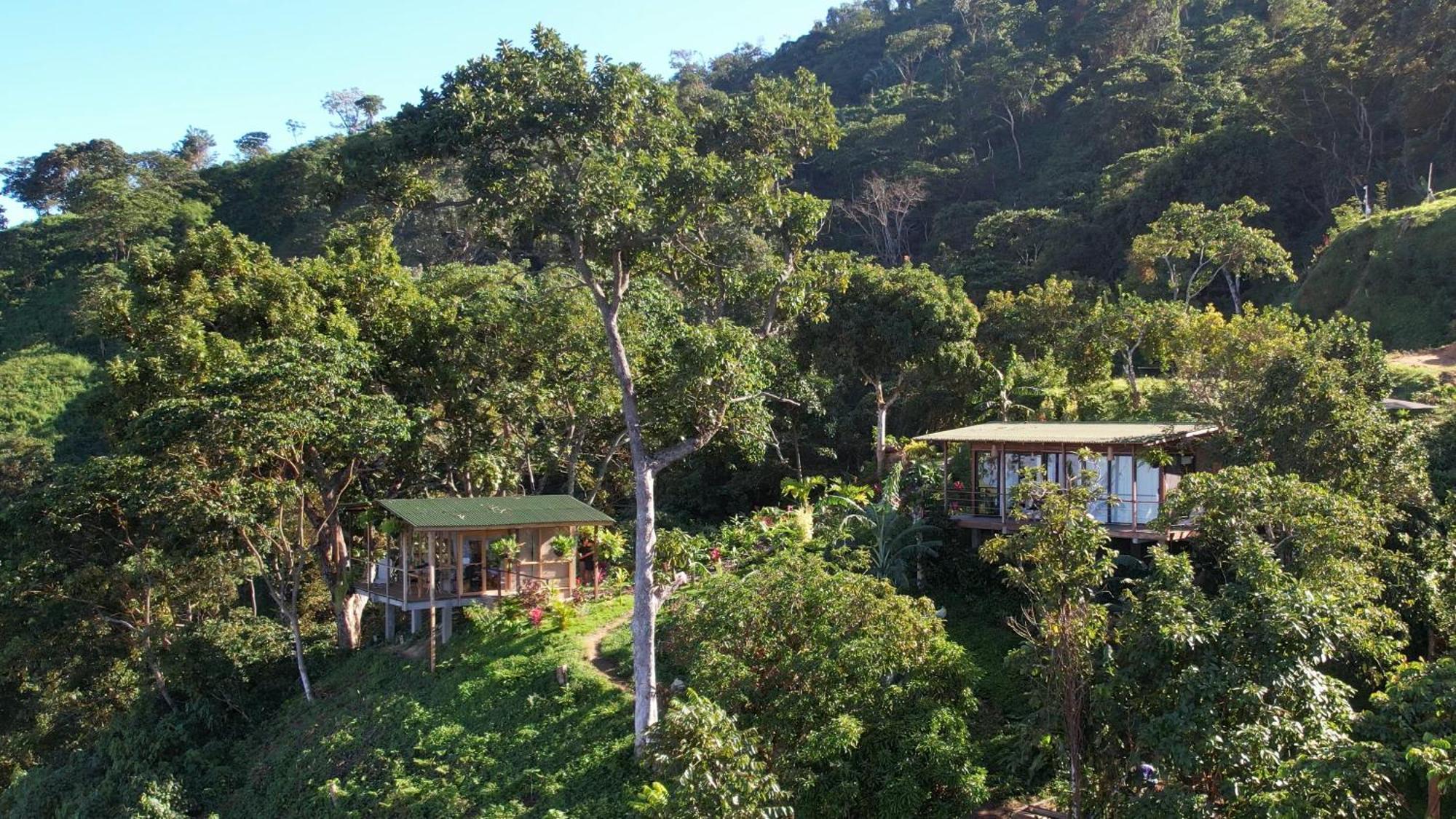 Minca Sintropia - Sustainable Lodge & Organic Coffee Finca 외부 사진