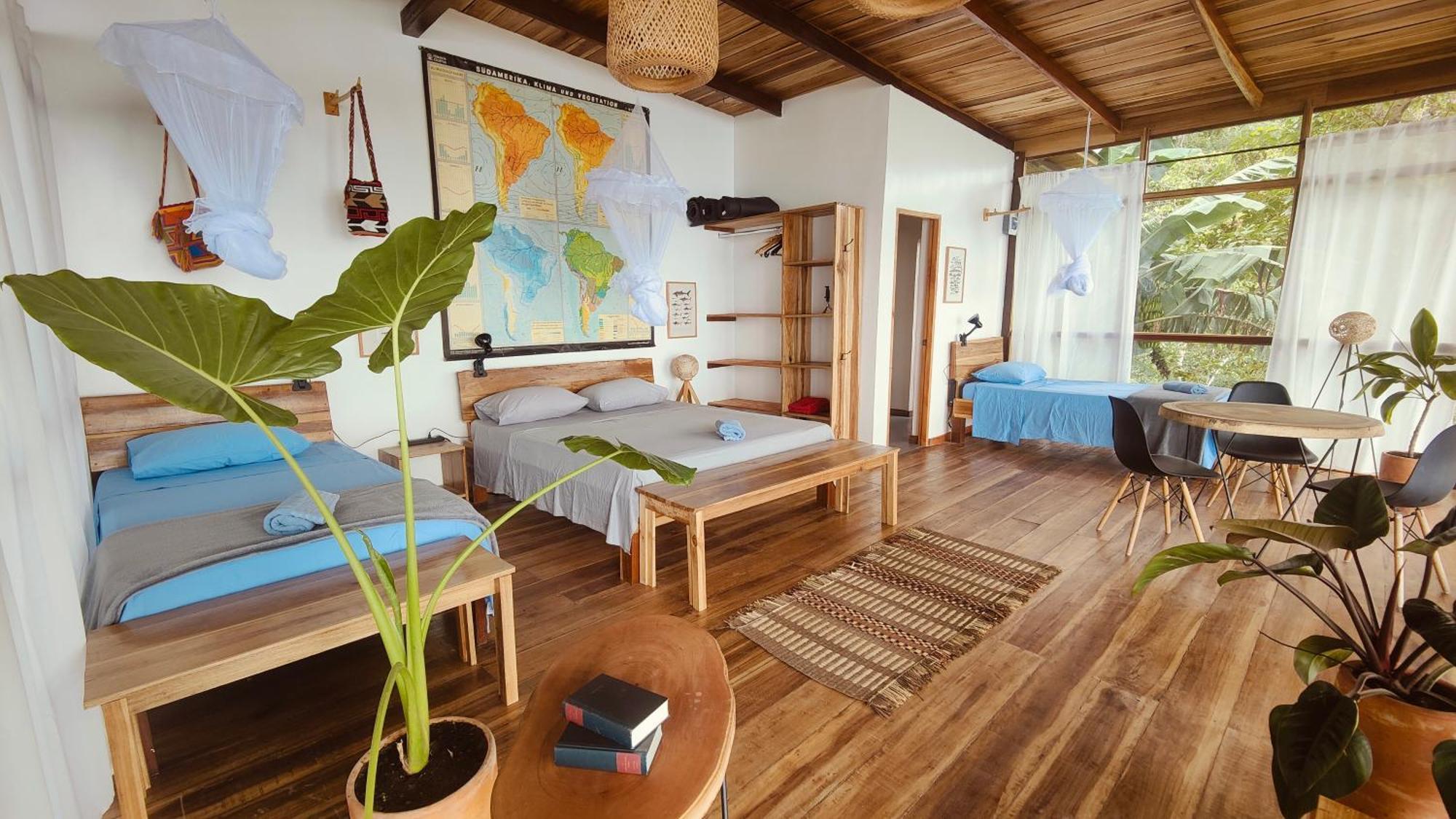 Minca Sintropia - Sustainable Lodge & Organic Coffee Finca 외부 사진