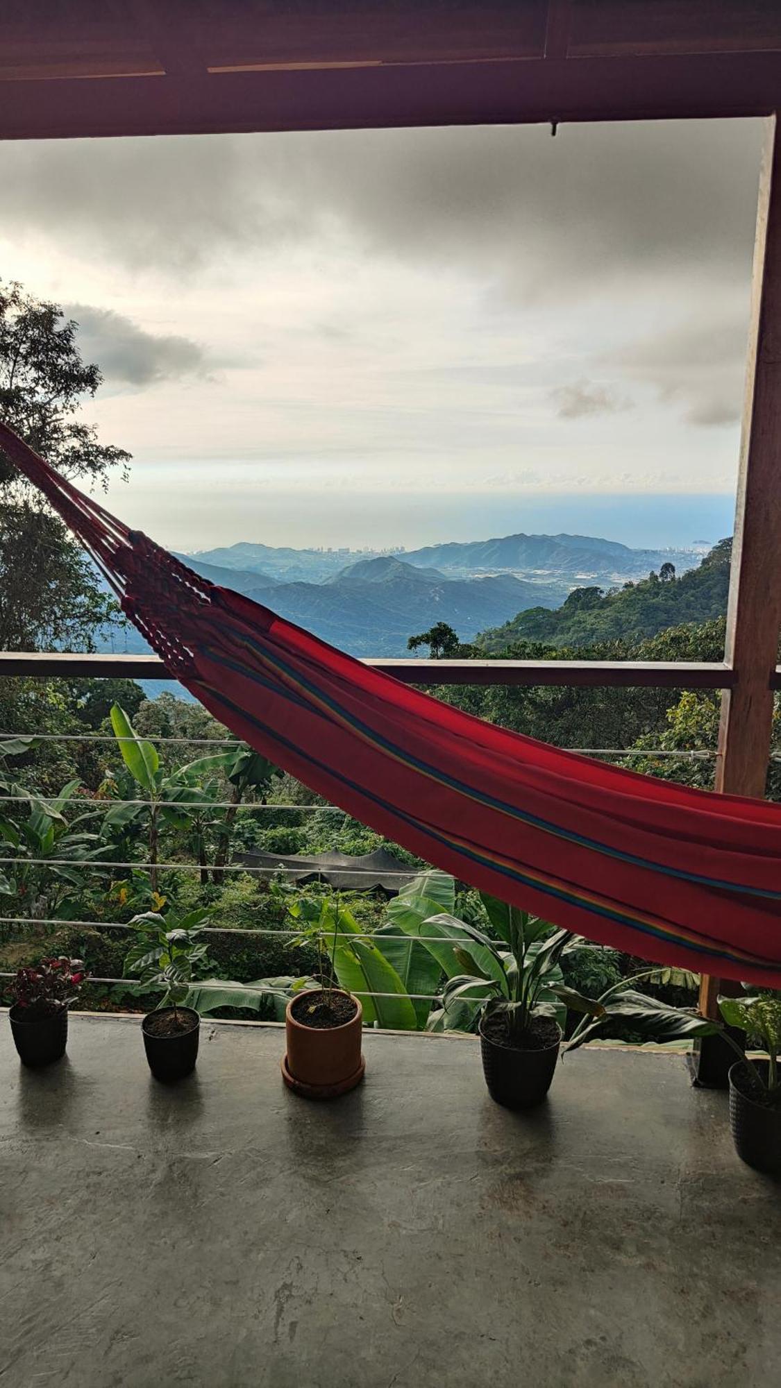 Minca Sintropia - Sustainable Lodge & Organic Coffee Finca 객실 사진