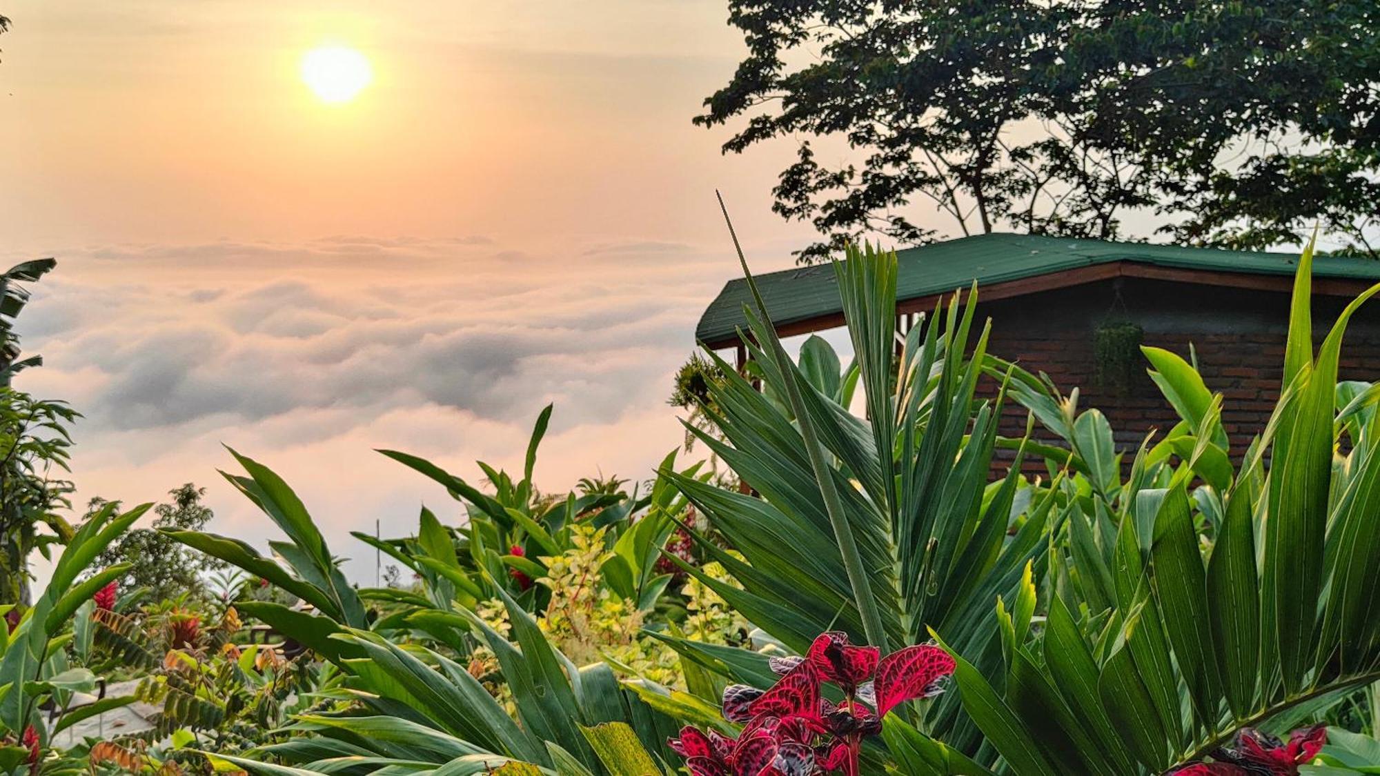 Minca Sintropia - Sustainable Lodge & Organic Coffee Finca 외부 사진